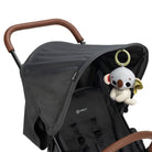 Black Graphite - IMP02588