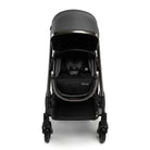 Black Chrome - IMP01916