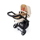 Beige Nature - CAX01016