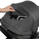 Black Chrome - IMP01916