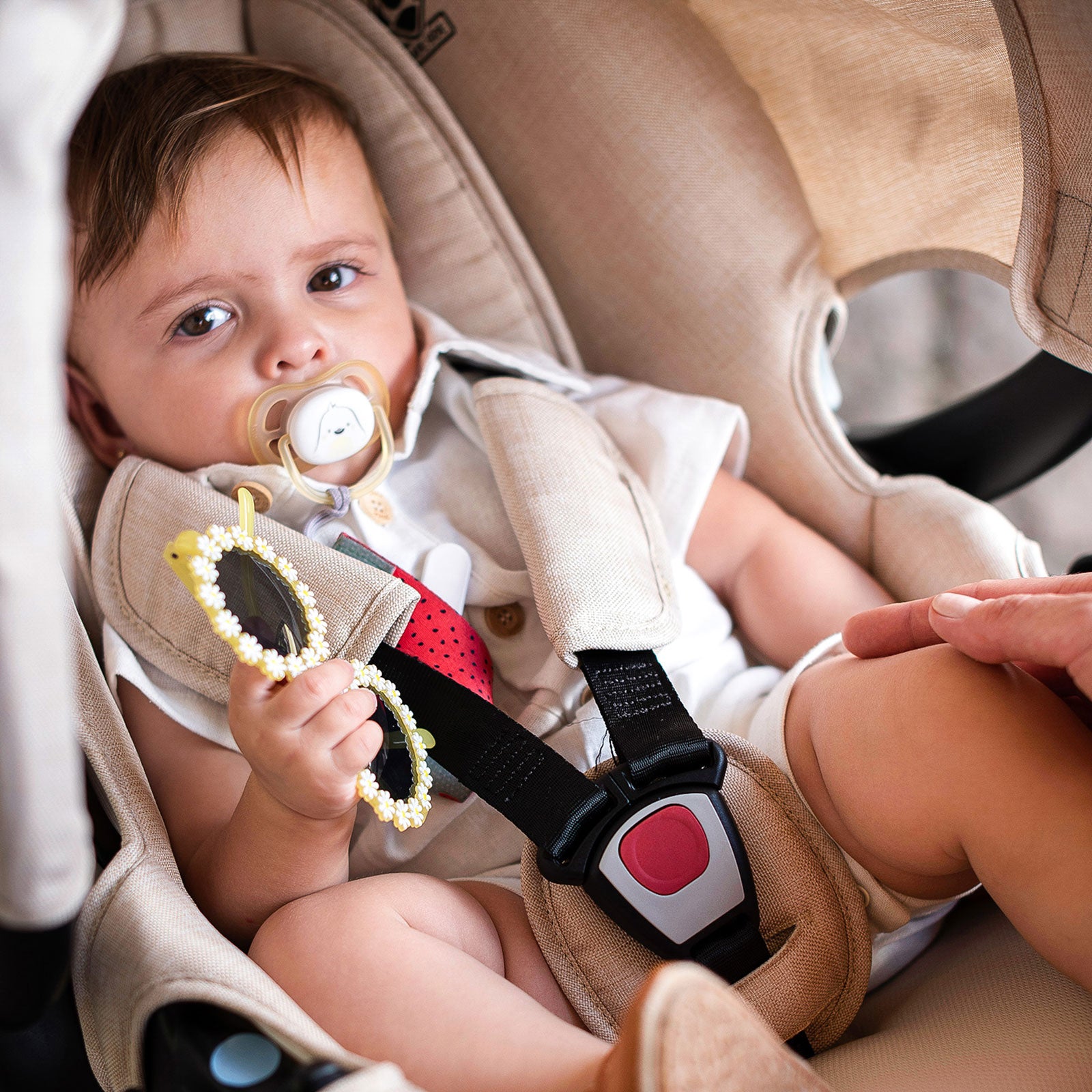 Beige Nature - CAX01016